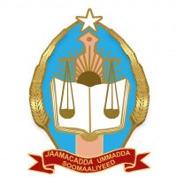 SOmali National University logo